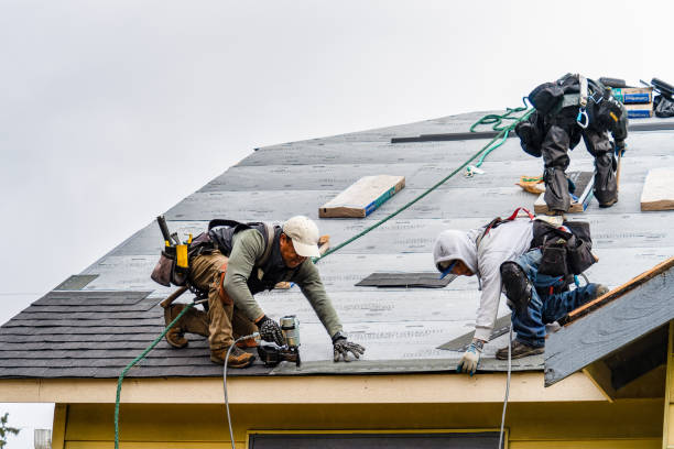 Professional Storm Damage Roof Repair technician working in Martell, NE